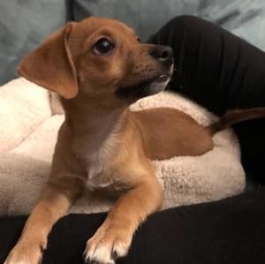 Meet your Posher, Terry